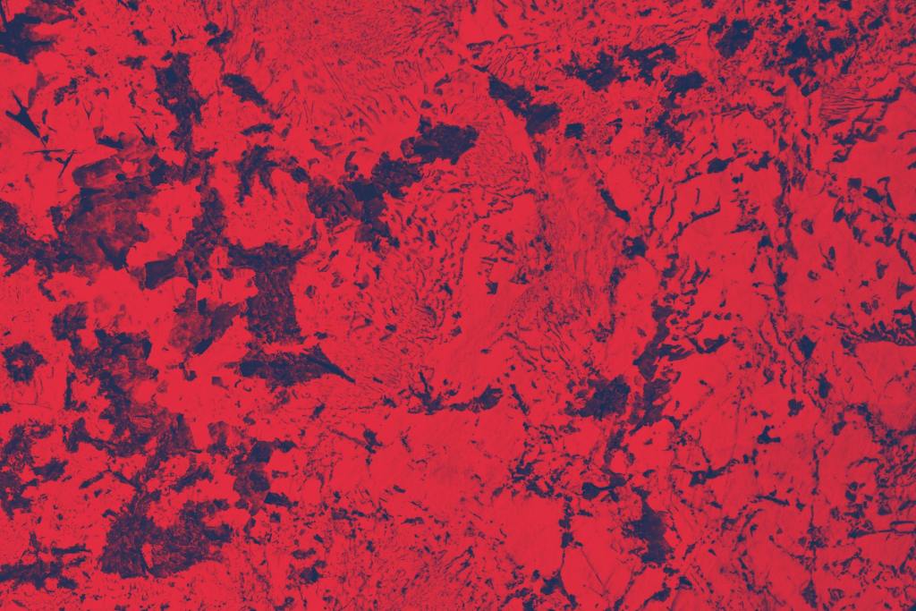 Ricordi di un Incontro nella&nbsp;Vita