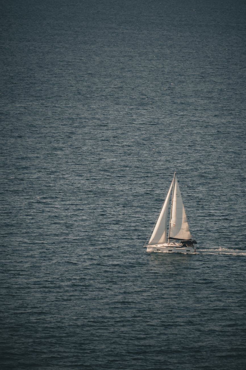 Pensierimmagine del giorno:&nbsp;Free