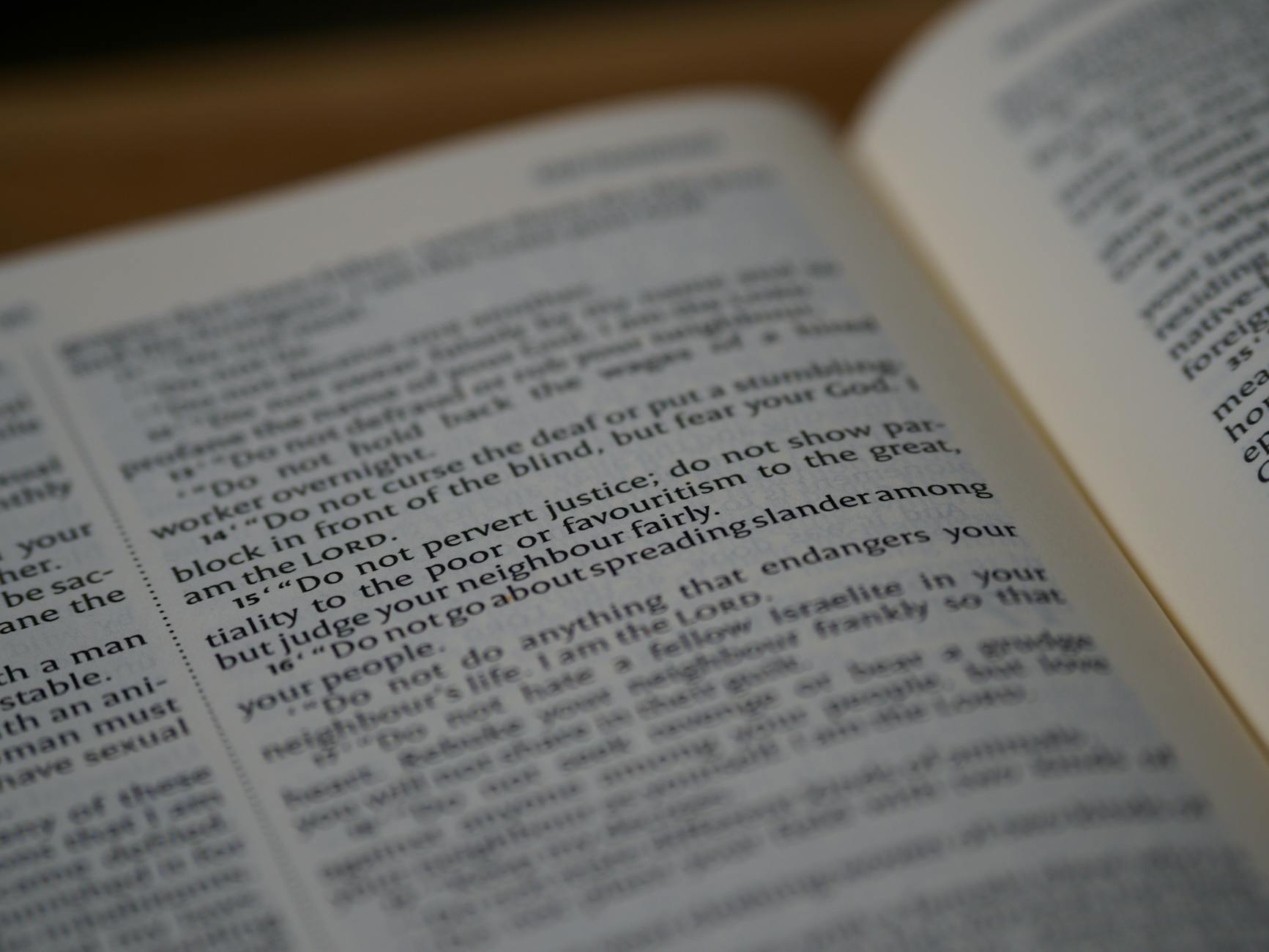 Bel testo che fa riflettere, complimenti Paola